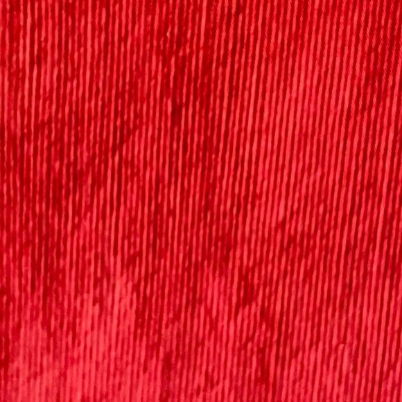 CUT LOOSE NEW Stretch Border Ankle Crop Pants Red Coral Mini Corduroy Size Med - Picture 2 of 14